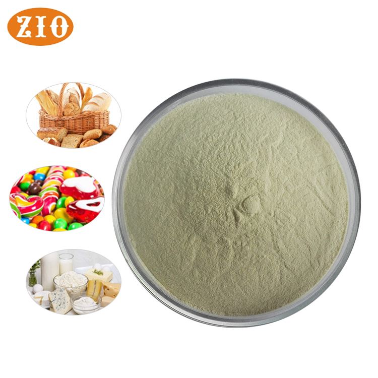 Xanthan گم سپلائی پوزیشن